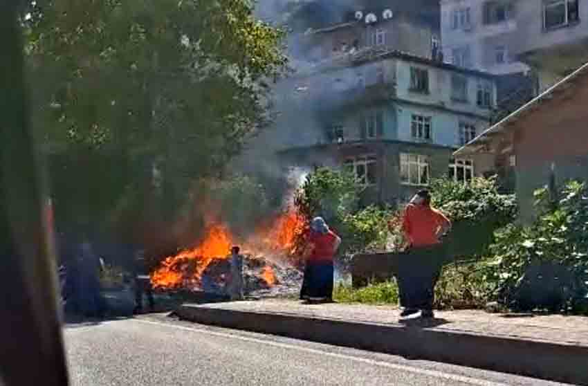 Whats App Image 2025 09 16 At 11.57.01 (3)