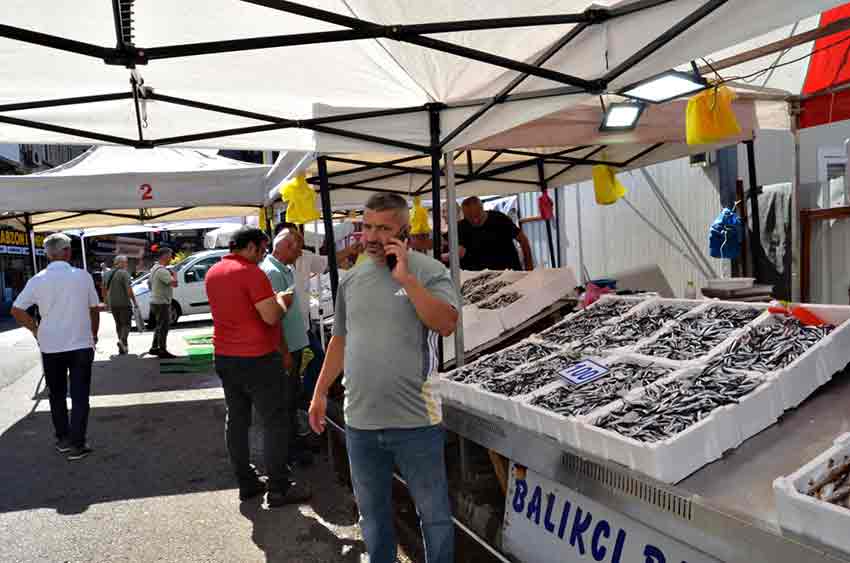 Whats App Image 2025 09 17 At 16.05.12