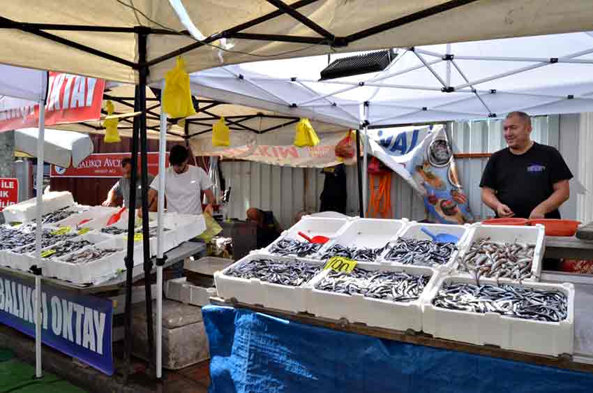 Whats App Image 2025 09 17 At 16.05.13