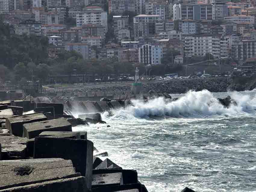 Whats App Image 2025 09 26 At 14.47.31 (1)