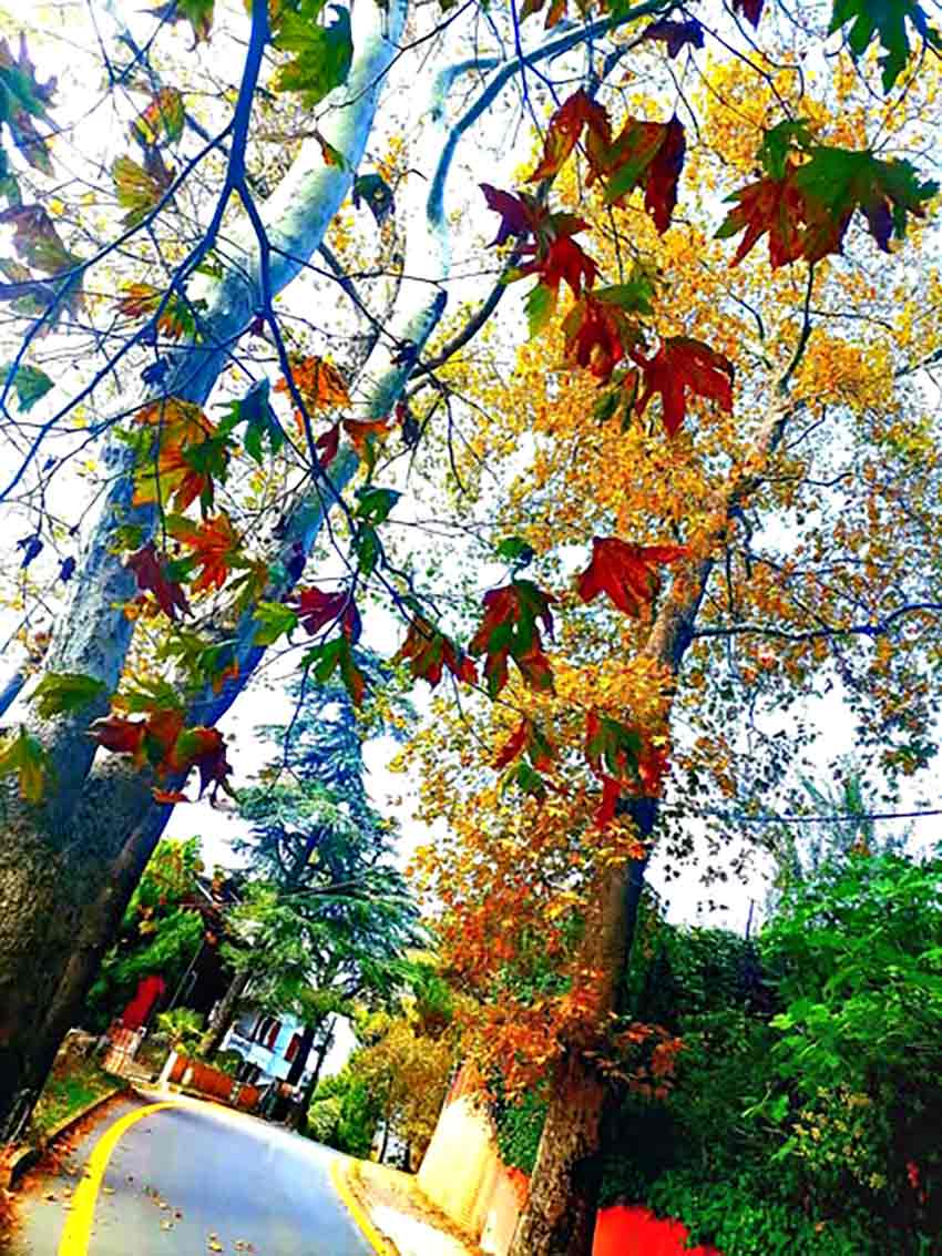 Whats App Image 2025 09 28 At 11.18.41