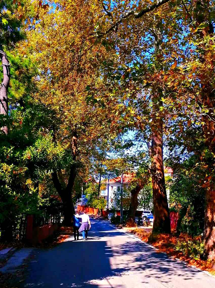 Whats App Image 2025 09 28 At 11.18.49