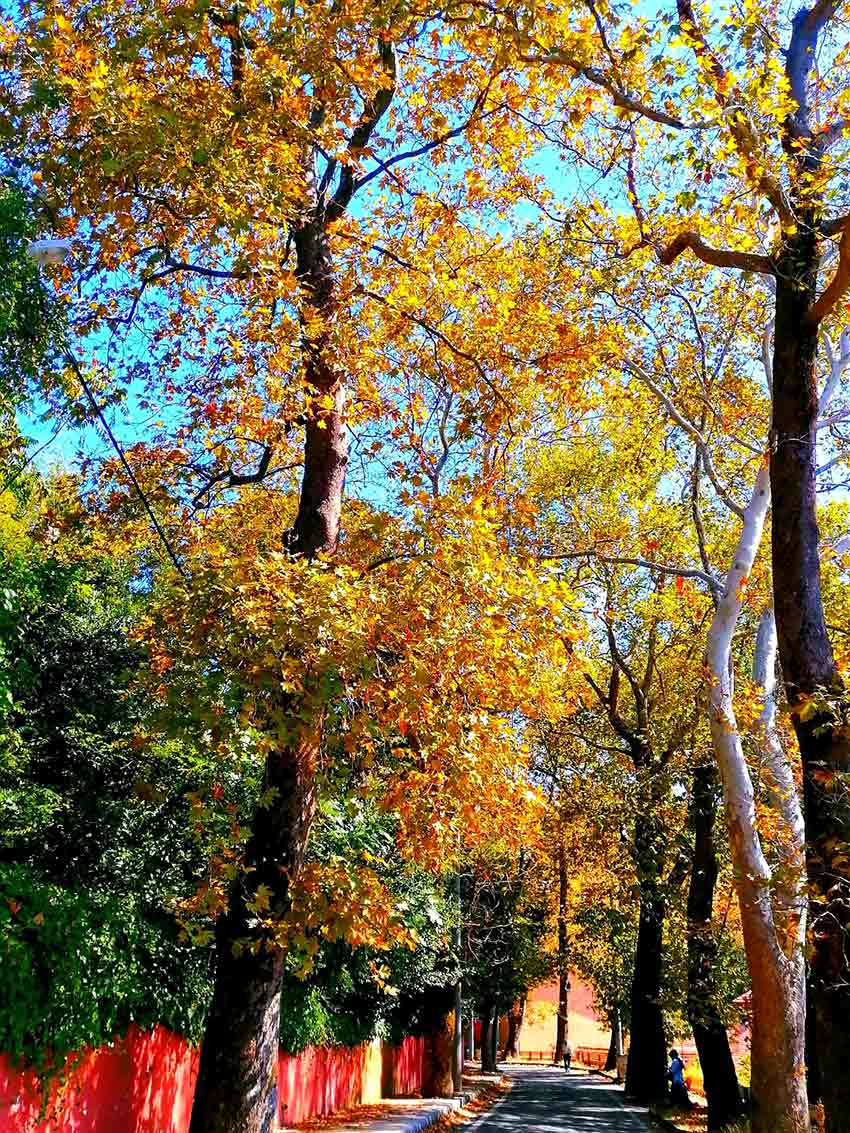 Whats App Image 2025 09 28 At 11.18.50