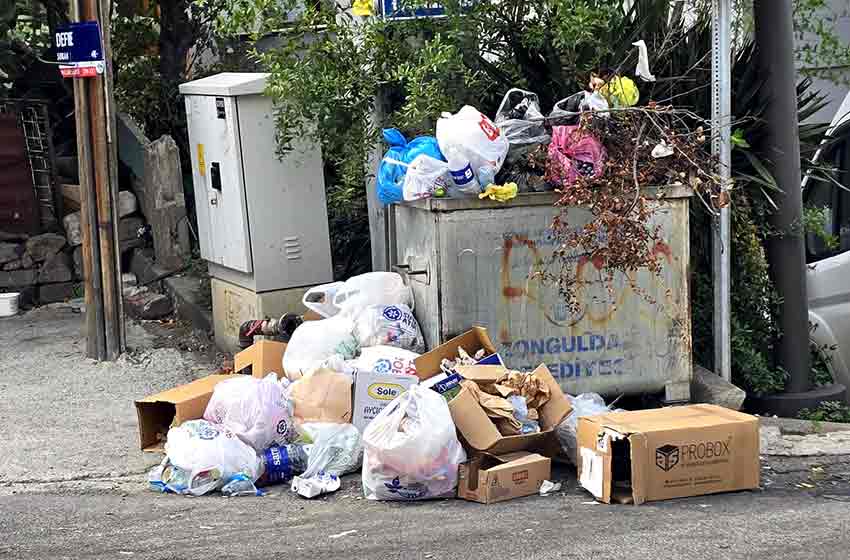 Whats App Image 2025 09 28 At 11.29.36