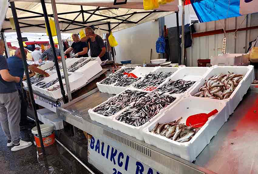 1B2Fdc92 F38D 46A3 931B F13F2C2Dc12C