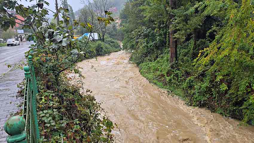 28893Fe1 98Cf 408F B762 8A99Fc0607Da