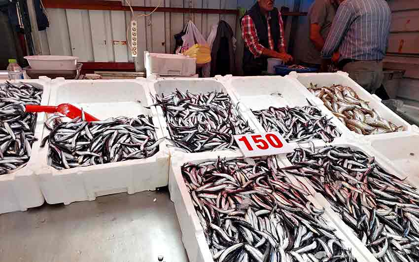 29A99682 F5E9 45F6 9Eaa 7Ac83E9B2E34