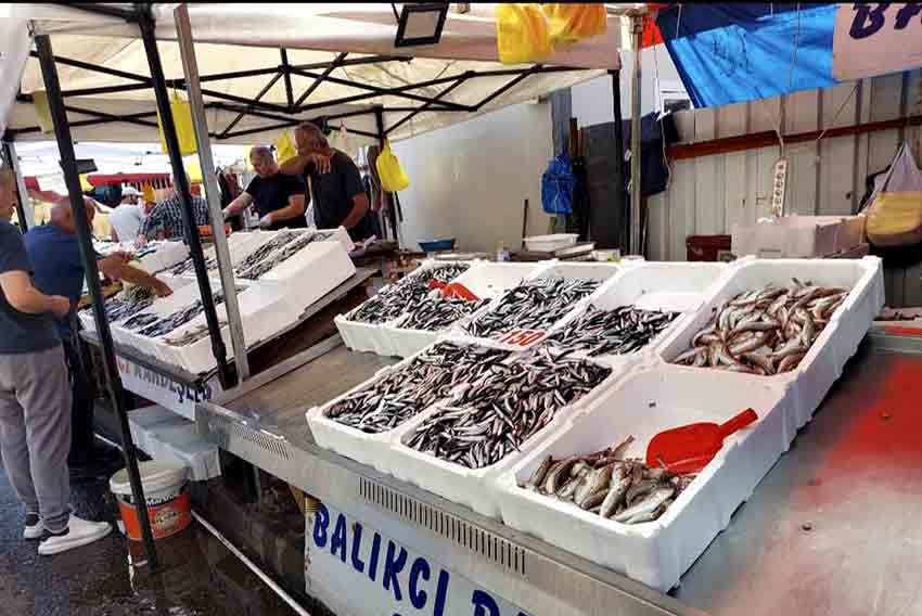 367A5D4D 2856 439E 8Ee4 63F14F1F3F97