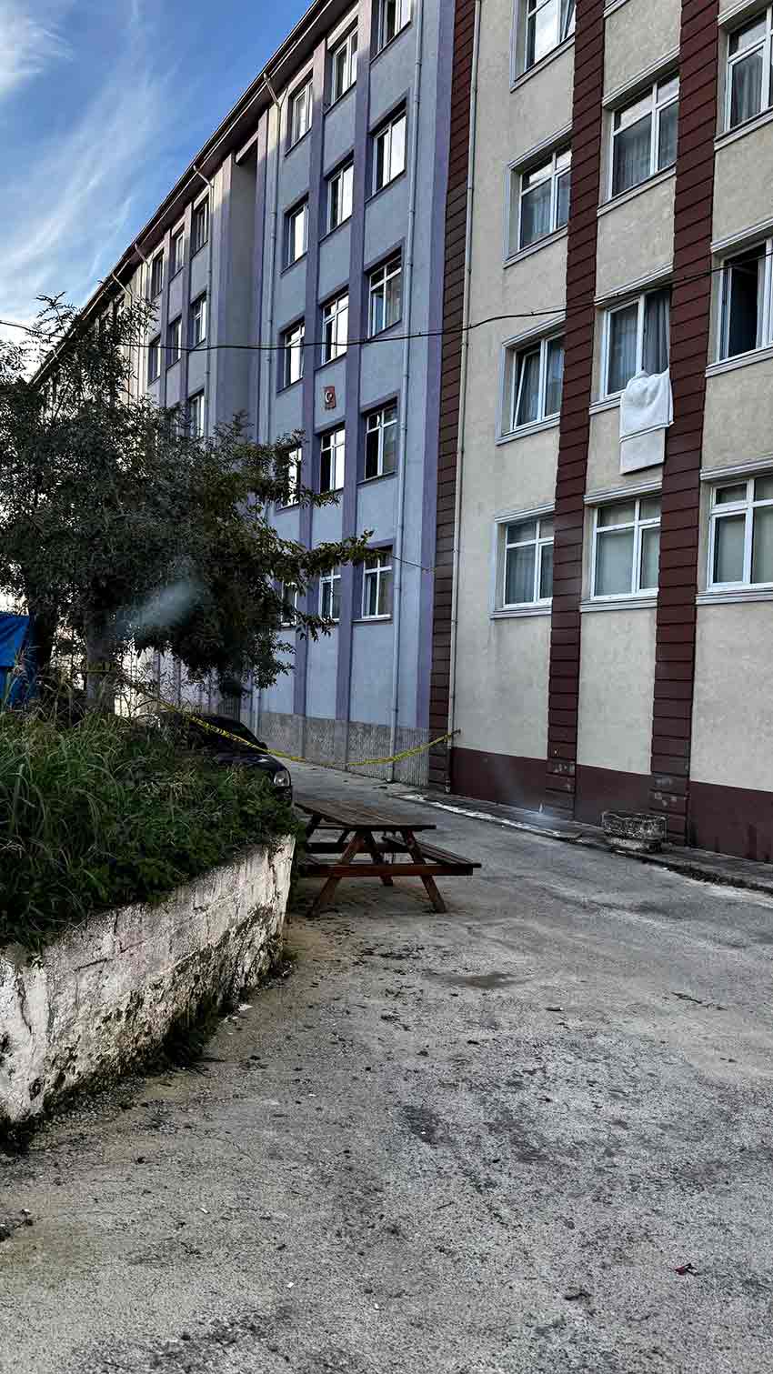 571378230 4053722278211506 6071596989218394845 N