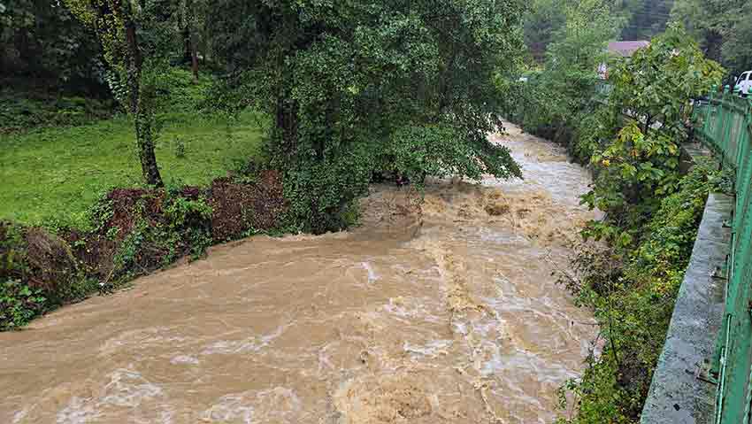 58B7Da65 656C 4B3D 938F D108F489E0Df