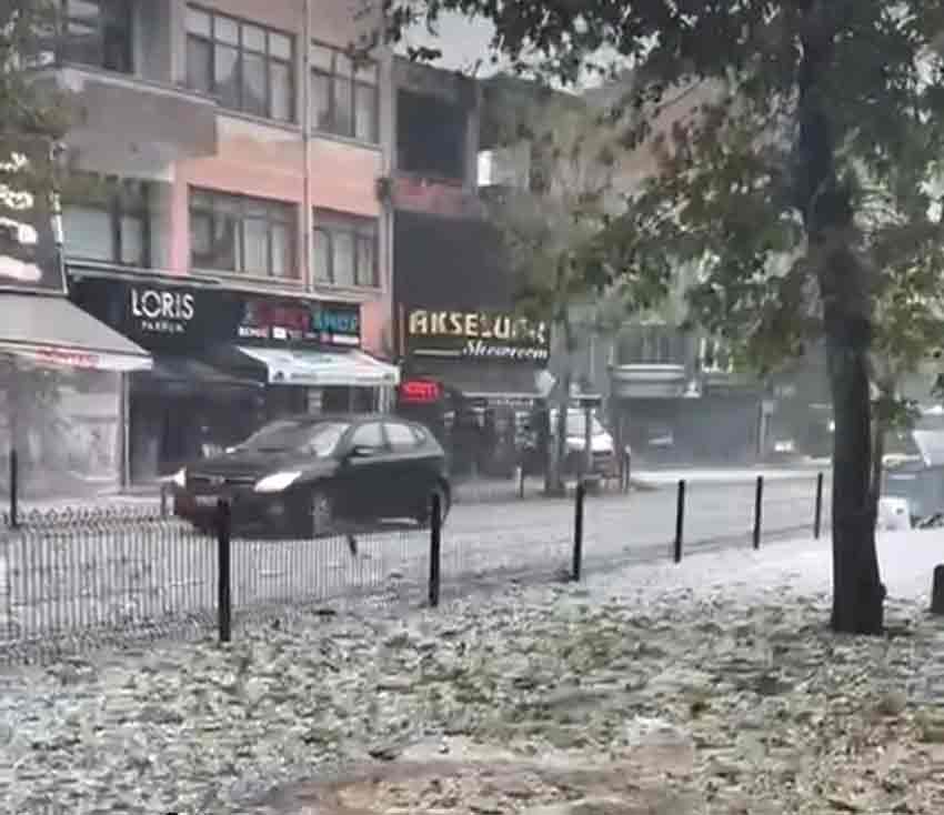 B888E377 A744 413E 8D87 3Ae62887Feaa