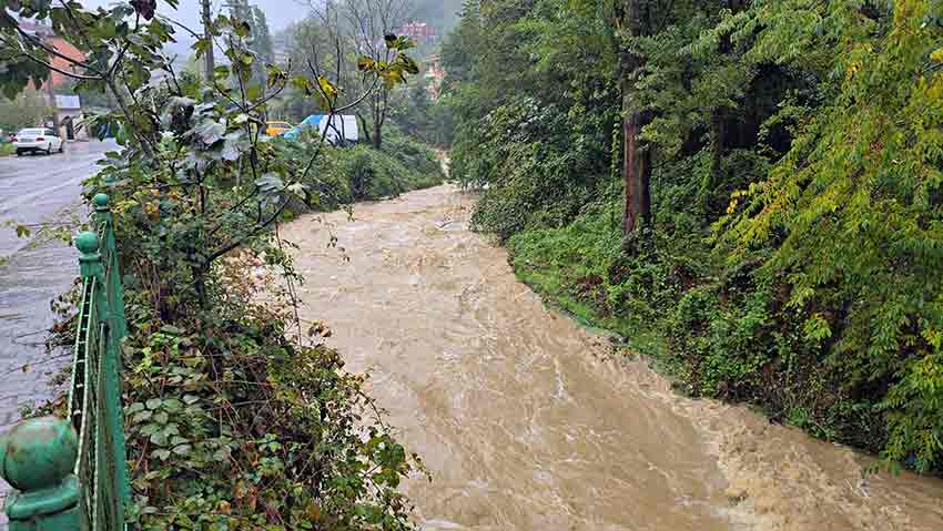 E787407B 8Fb1 435A 8E49 5B7141F6B17A