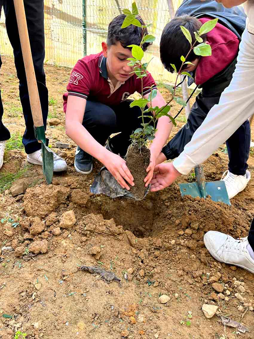 Ed076D7F D139 467F 94E5 23Ac6B0C830D