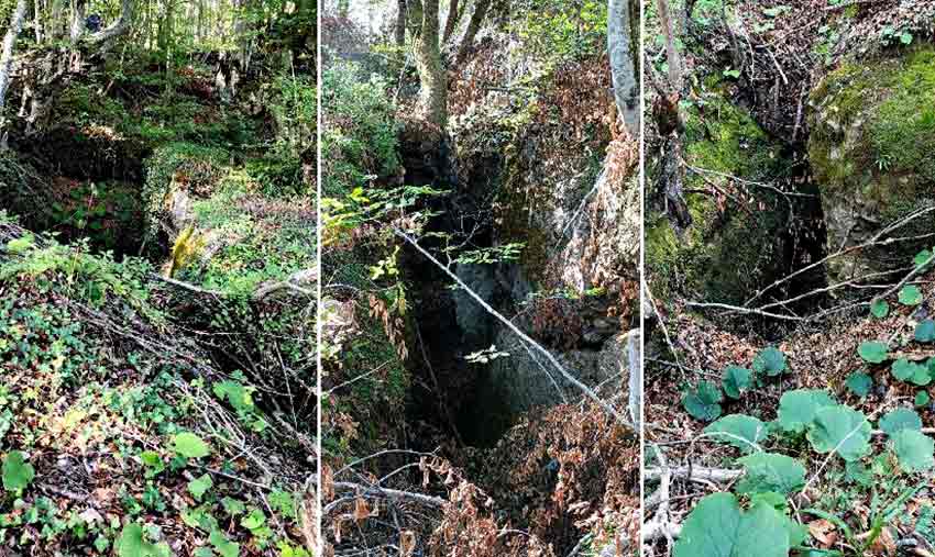 G İ Z E M L İ Y A R I K L A R