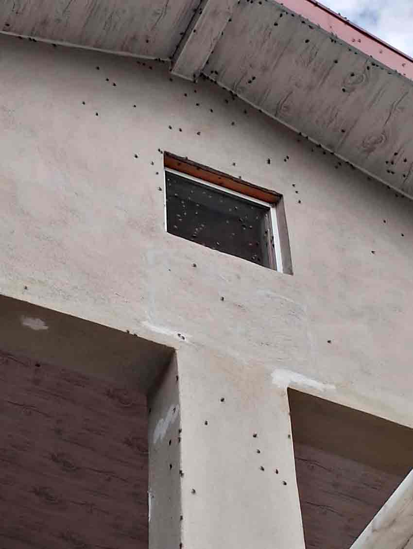 Whats App Image 2025 10 03 At 16.55.08 (1)