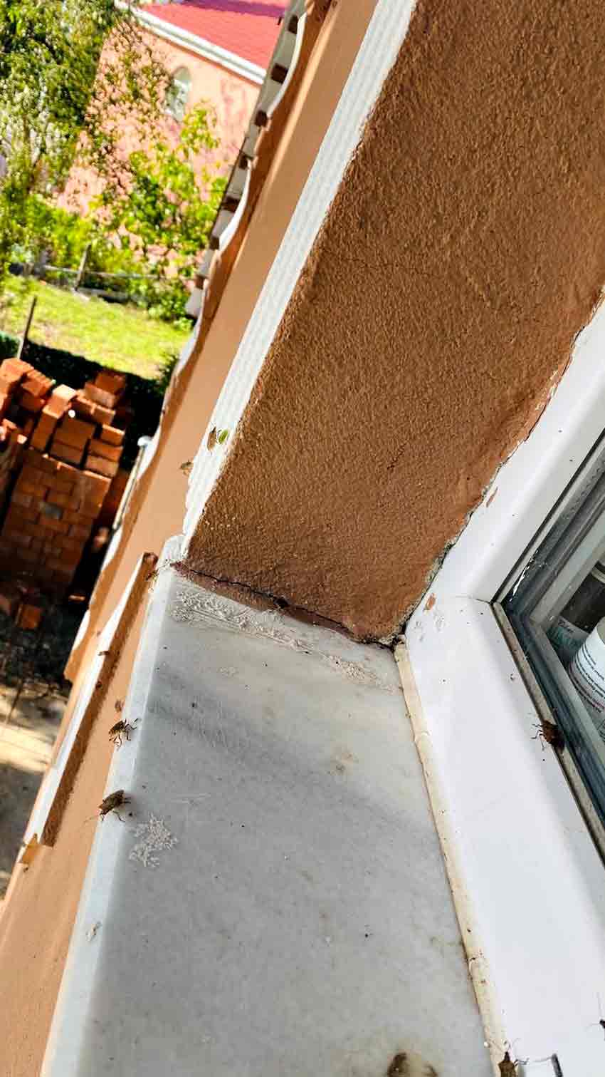 Whats App Image 2025 10 03 At 16.55.08 (2)