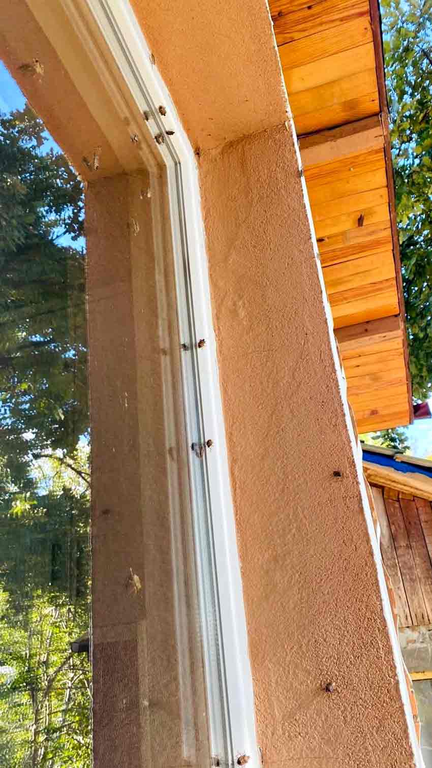 Whats App Image 2025 10 03 At 16.55.08