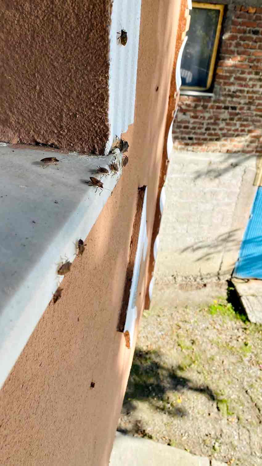 Whats App Image 2025 10 03 At 16.55.09