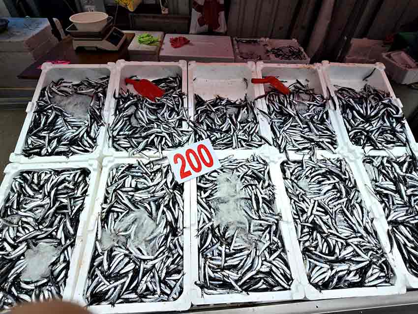 Whats App Image 2025 10 04 At 17.49.19