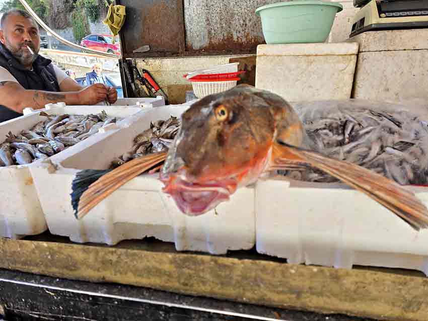 Whats App Image 2025 10 07 At 12.06.20 (1)