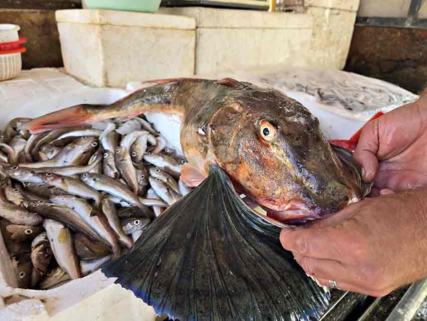 Whats App Image 2025 10 07 At 12.06.20 (2)