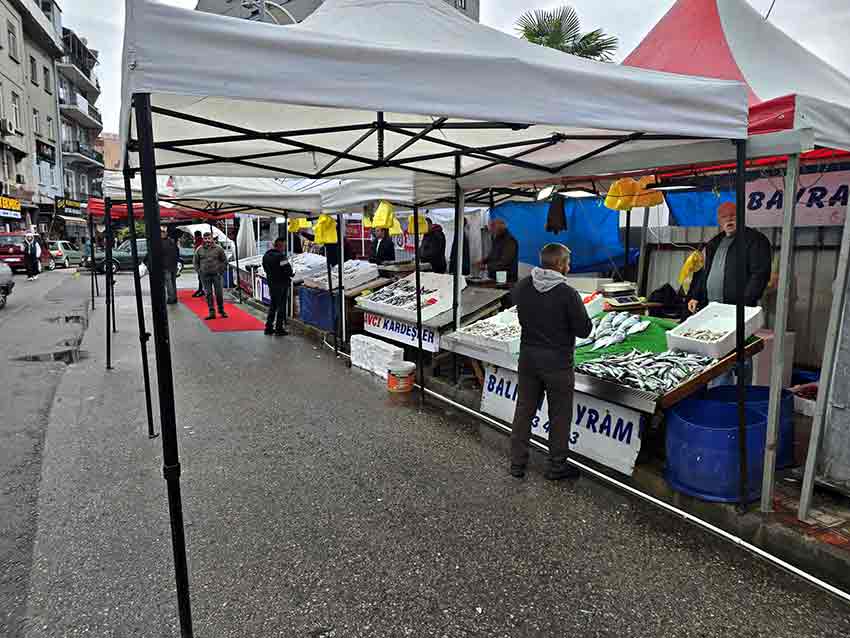 Whats App Image 2025 10 10 At 15.35.37 (1)