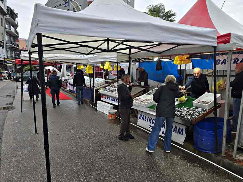 Whats App Image 2025 10 10 At 15.35.37