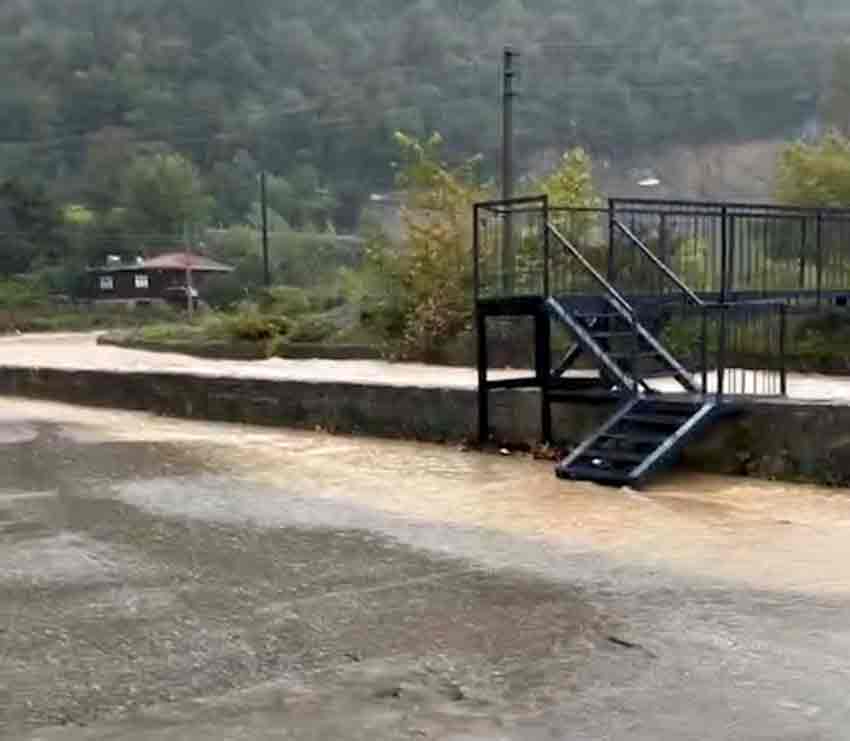 Whats App Image 2025 10 11 At 17.05.01 (1)