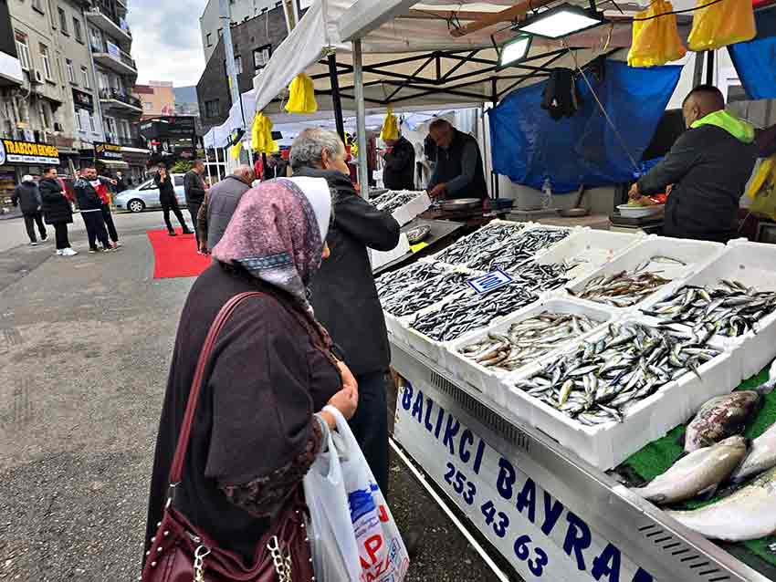 Whats App Image 2025 10 14 At 12.46.18