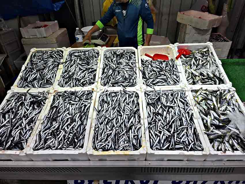 Whats App Image 2025 10 14 At 12.46.19 (1)