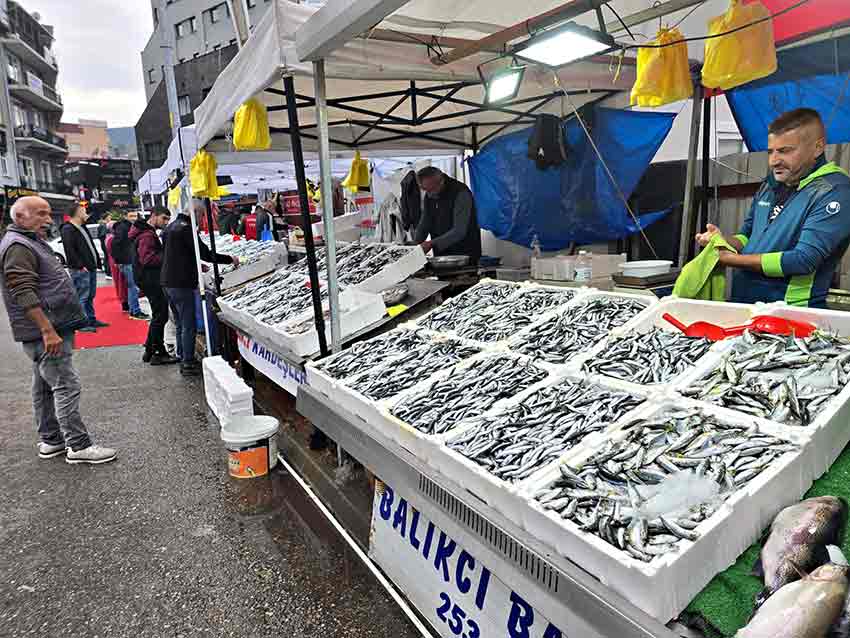 Whats App Image 2025 10 14 At 12.46.19 (2)