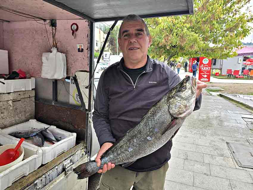 Whats App Image 2025 10 14 At 13.04.45 (1)