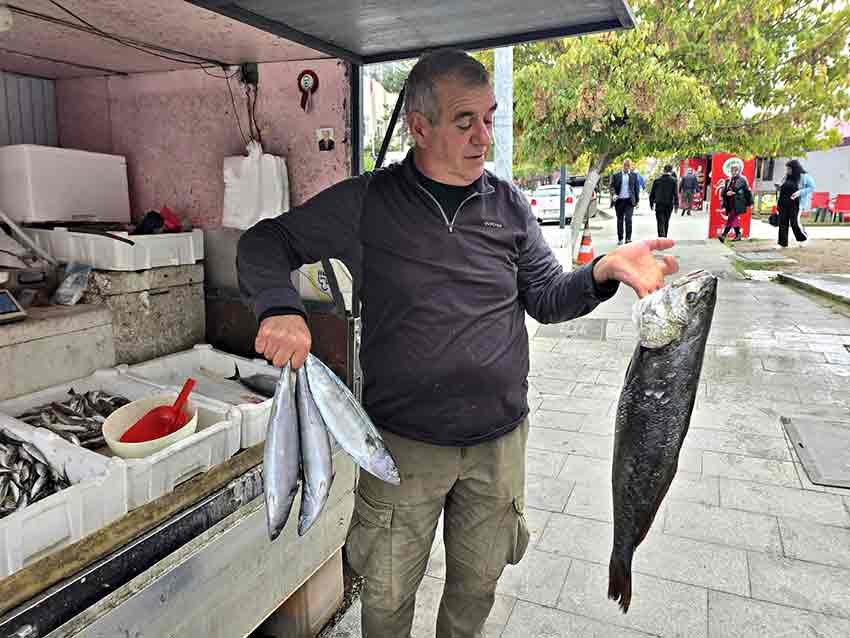 Whats App Image 2025 10 14 At 13.04.45 (2)