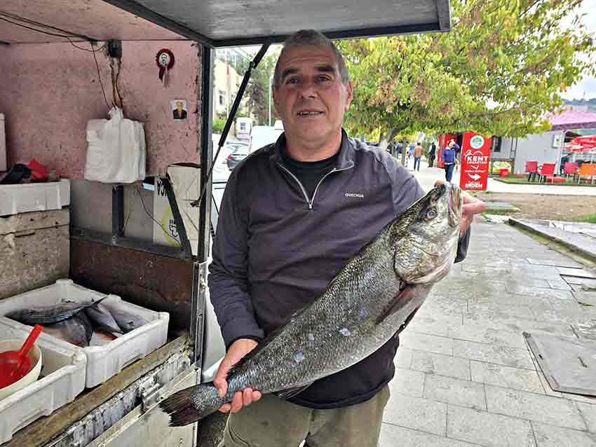 Whats App Image 2025 10 14 At 13.04.45