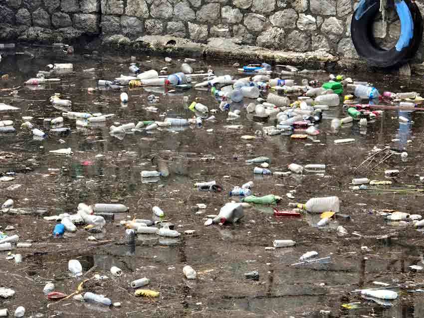 Whats App Image 2025 10 14 At 13.58.51