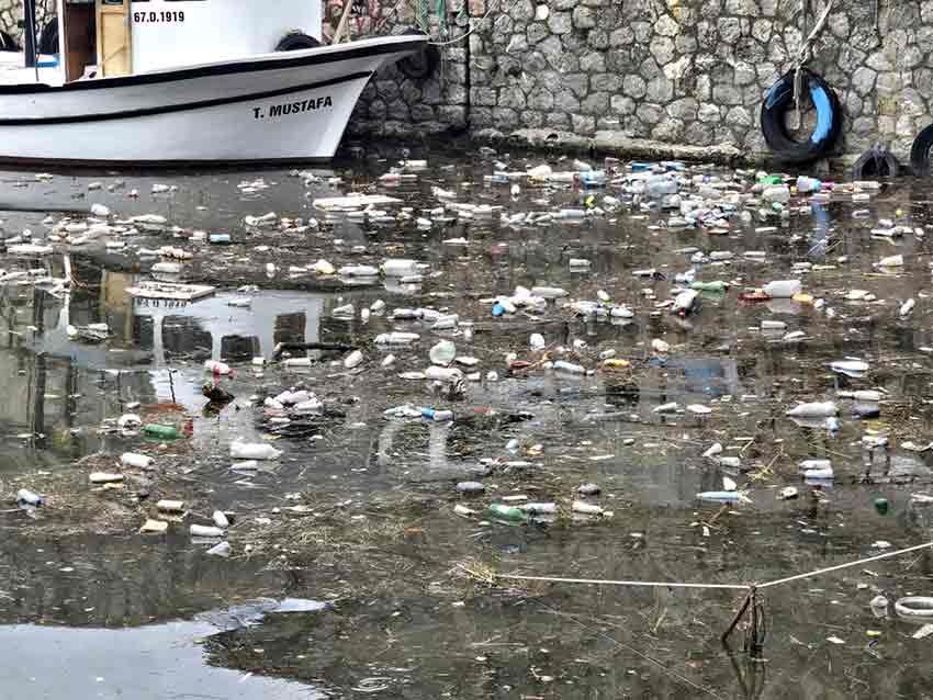 Whats App Image 2025 10 14 At 13.58.52 (1)