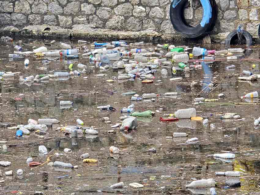 Whats App Image 2025 10 14 At 13.58.52 (2)