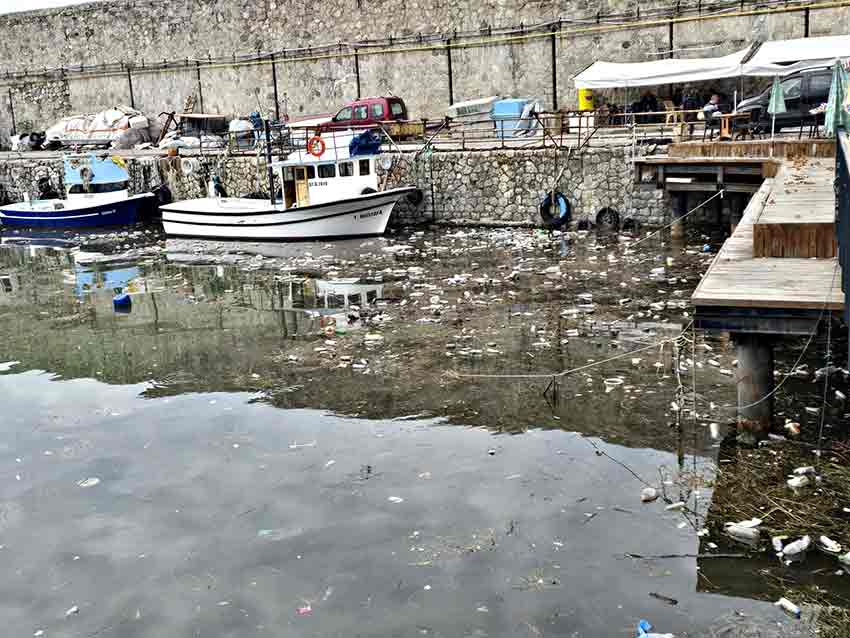 Whats App Image 2025 10 14 At 13.58.53