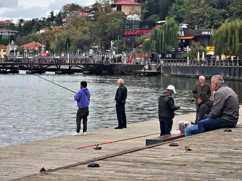 Whats App Image 2025 10 15 At 16.38.22