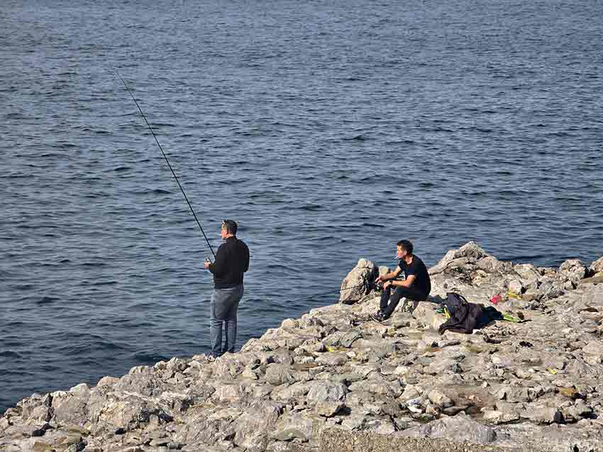 Whats App Image 2025 10 17 At 13.44.48