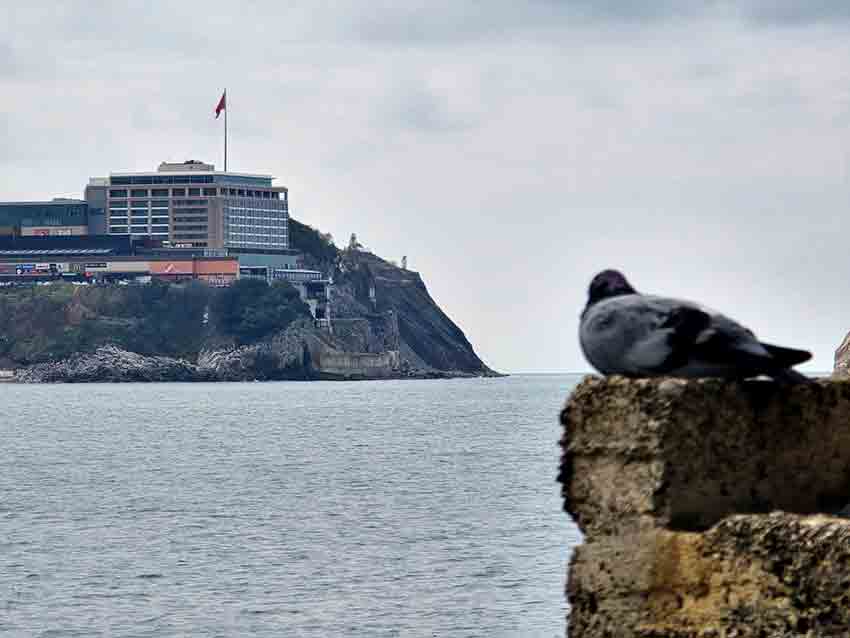 Whats App Image 2025 10 20 At 16.39.07