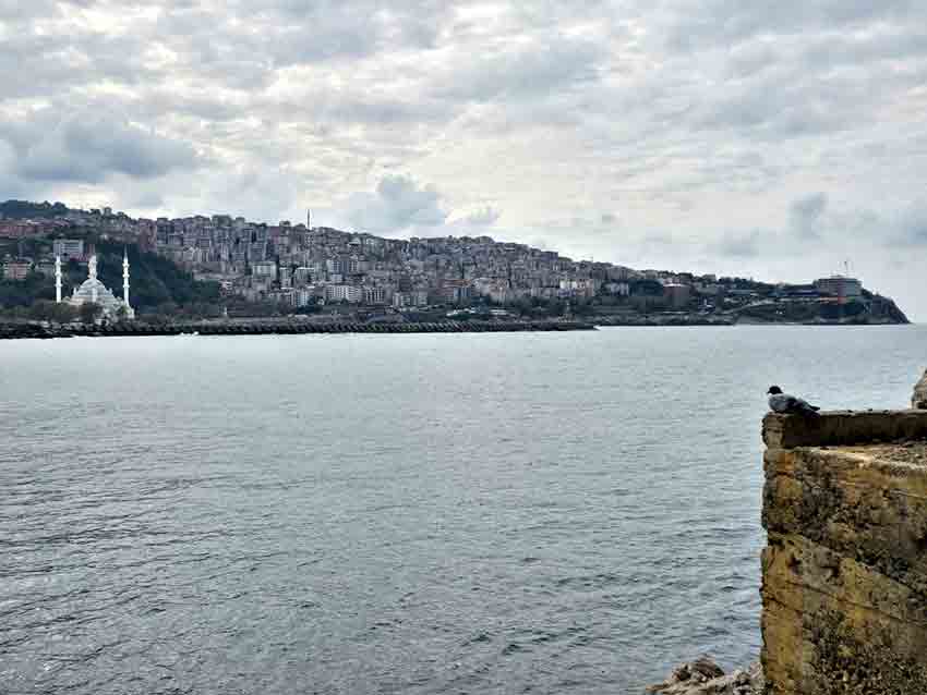 Whats App Image 2025 10 20 At 16.39.08 (1)