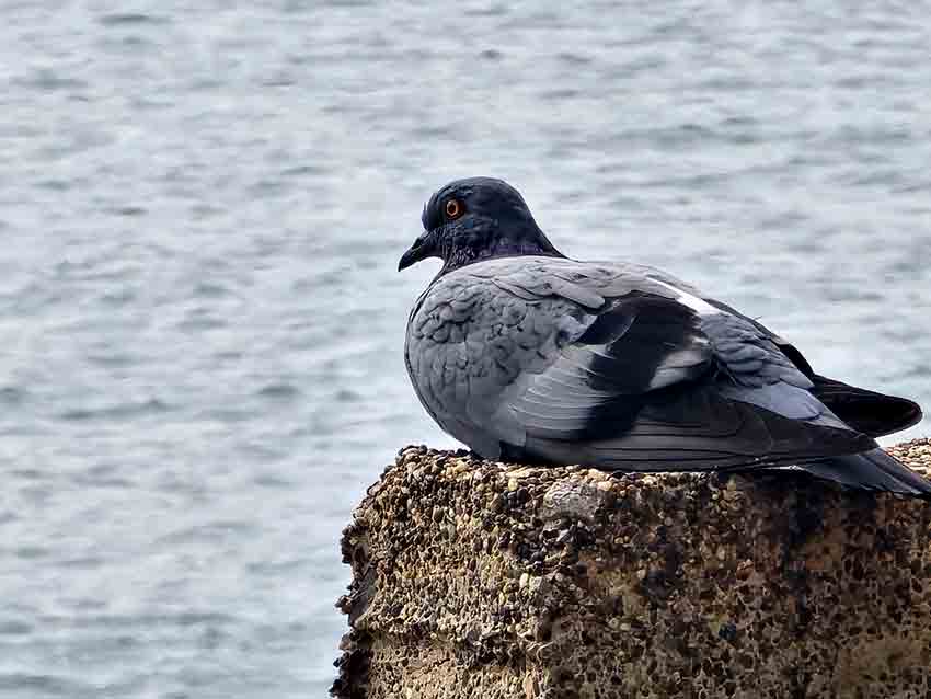 Whats App Image 2025 10 20 At 16.39.08