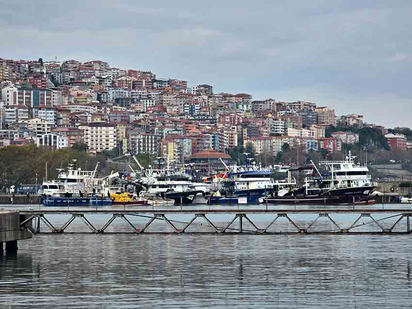 Whats App Image 2025 10 23 At 10.17.30