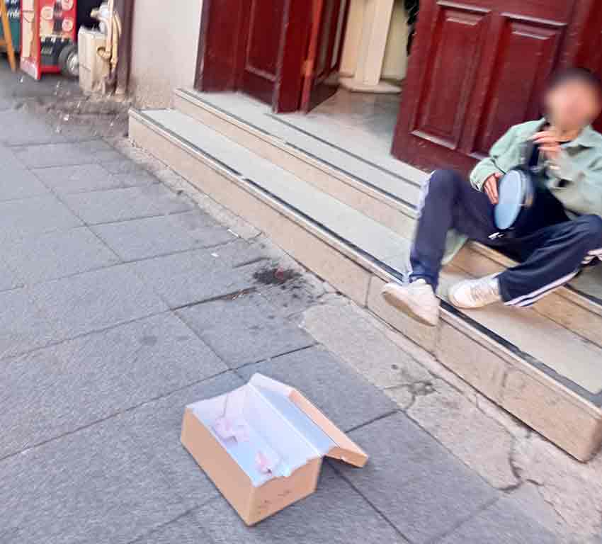 Whats App Image 2025 10 23 At 13.02.07