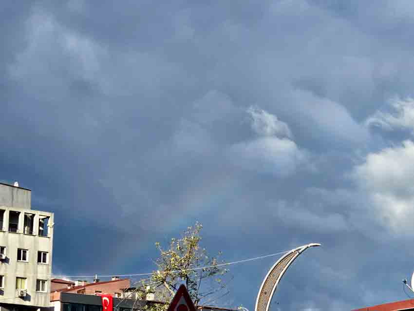 Whats App Image 2025 10 29 At 10.31.07