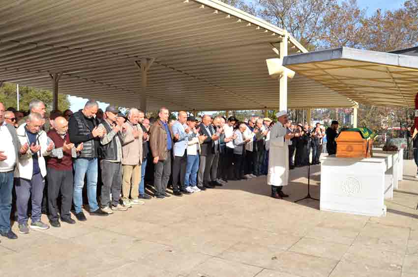 2B50Aeaa 0371 4331 8805 F0Cfebc2Afcc