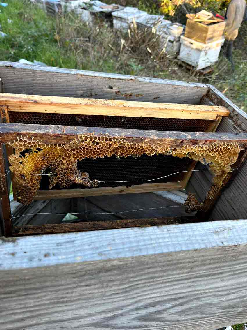 35199657 F02C 4C0A 9Fa3 Cc6F4E903B37