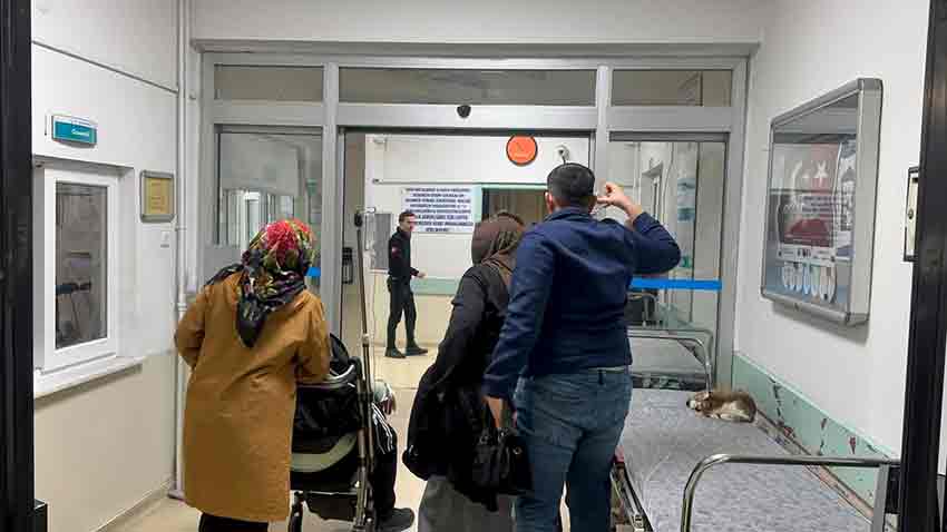 583921912 4069819466601787 9067775064199201826 N