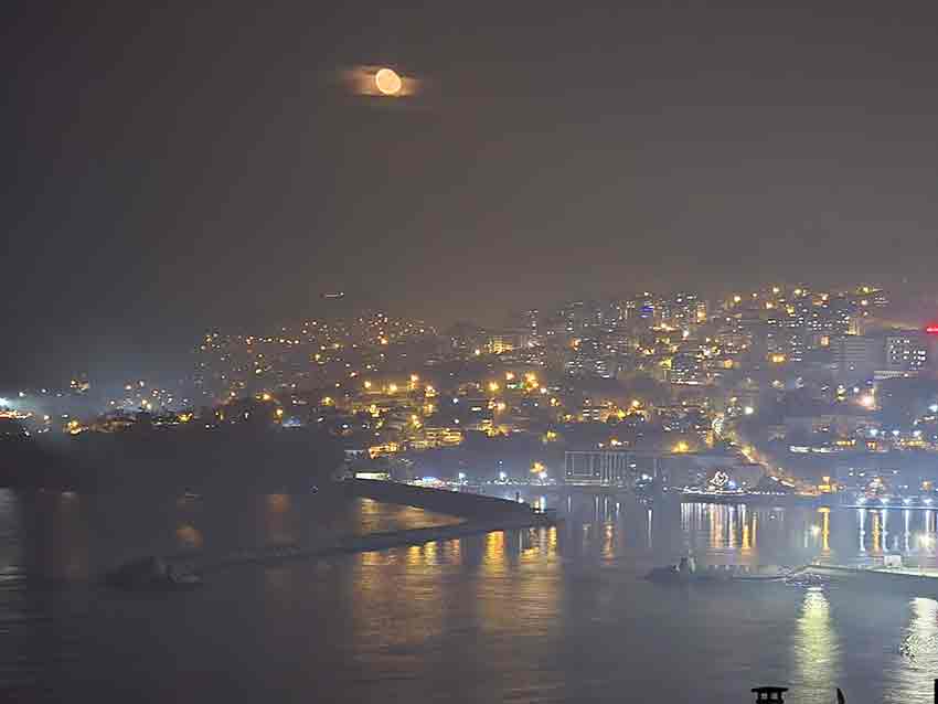 955Cabeb 0F0A 4F2A Baf4 Ae01Cea9691E